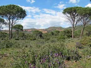 Le Clos D'azur N 33 138s - Image 4