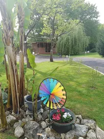 Gite Bergerie - Image 2
