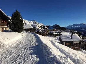 Almenrausch Reto 1. Stock - Image 3