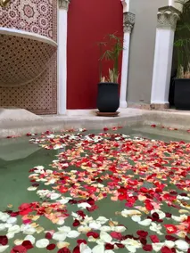 Riad Loudaya - Image 5