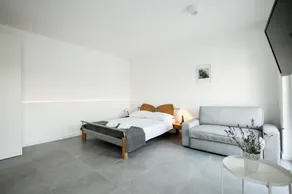 Vila Visnjic - Image 4