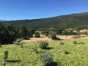 Els Pirineus - Image 3