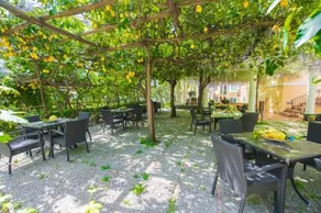 Maiori Antica - Image 3