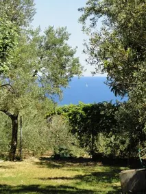 Camping Ali Babà - Image 4