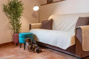 MivÀ Di PiÙ Casa Vacanza - Image 3