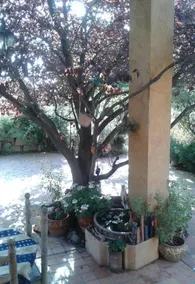 Atelier Pasquer - Image 4