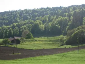 Chambre d'hôtes - Aux Enges - Image 2