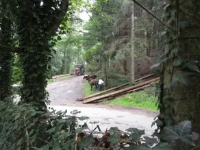 Chalet Vieuxville - Image 3