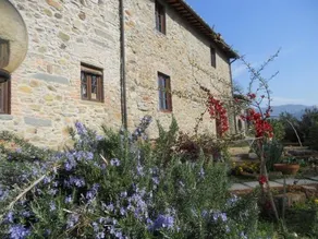 Villa La Fagianaia - Image 3
