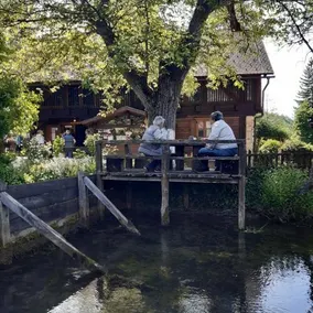 Slovin Unique - Rastoke - Image 4