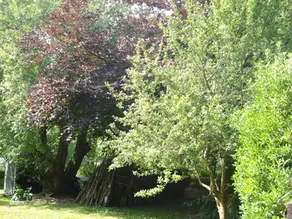 Old Mill House - Image 4
