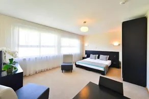 Superior Hotel Vantis Riverside - Image 3