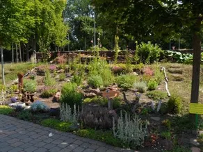 Ferienwohnung Orchidee - Image 3