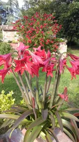 Agriturismo Dominus Domenico - Image 2