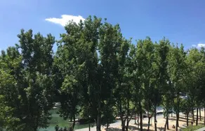 Paris, bel appartement spacieux, calme, 90m2 - Image 3