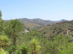 Finca Flor - Image 3
