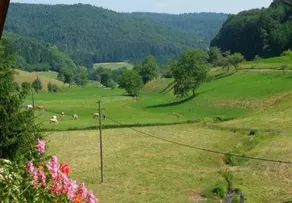 Gasthaus Schwert - Image 5
