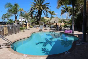 Poinciana at Coconut Villas of Dunedin 2 Bedrooms 1 Bathroom - Image 3