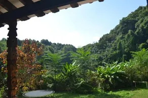 La Jicarita Eco Hotel - Image 2