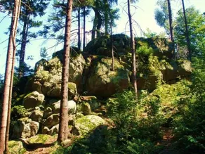 Ferienwohnungen Waldblick - Image 4