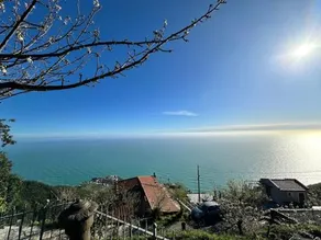 Villa Cinque Terre - Image 4