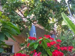 Kibbutz Ha'Ogen - Image 3