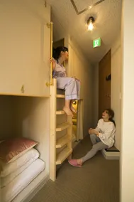 The Wardrobe Hostel Tree - Image 5
