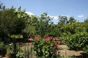 Casa Campagna - Image 3