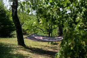 Cottage Veronika - Image 5
