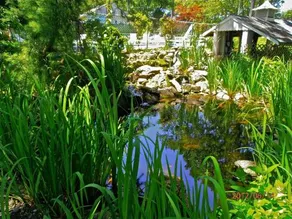 Bowen's By The Bays - Image 2