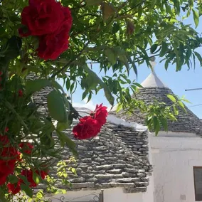 Trulli Vacanze In Puglia - Image 3
