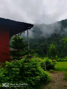 Maatre Yoga Retreat - Image 2