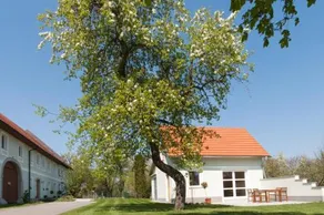 Bauernhof Landhaus Essl - Image 5