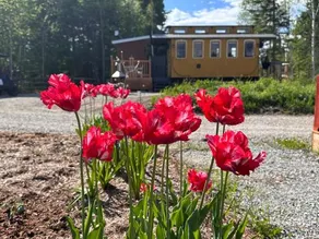 Domaine Gagnon - Image 4