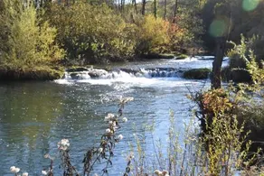 Green Eden - Image 5