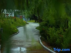 Tianjing Kunyu·China Yard Hotel - Image 4