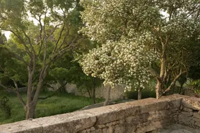 Mas Du CollÈge - Image 3