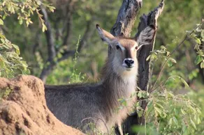 Thuhlo Lodge - Image 2