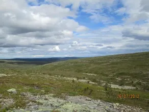 Ranta Aarela - Image 3