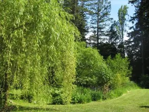 Duthie Gallery and Gallery B&B - Image 5