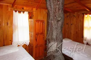 Jungle Bells Hostel - Image 2