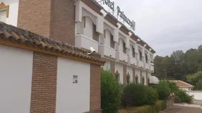 Palmero - Image 5