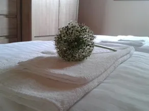 Domki letniskowe PLUSK - Image 2