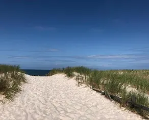 Dzika Plaża Wierzchucino - Image 2
