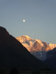 Rossli - Image 3