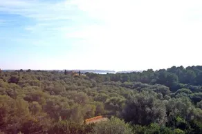 Villa Sa Punta - Image 5