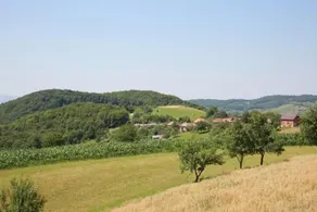 Pensiunea Rosia - Image 3