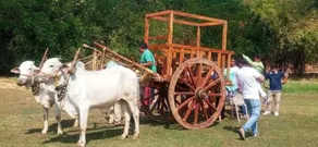 Farm Stay Resort Shamirpet Hyderabad - Image 5