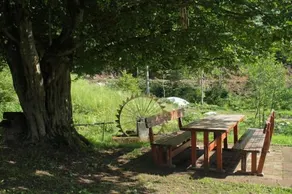 Bosco Delle Rune ..Un Angolo Di Paradiso - Image 3