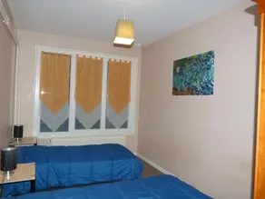 Le Pariou - Image 5